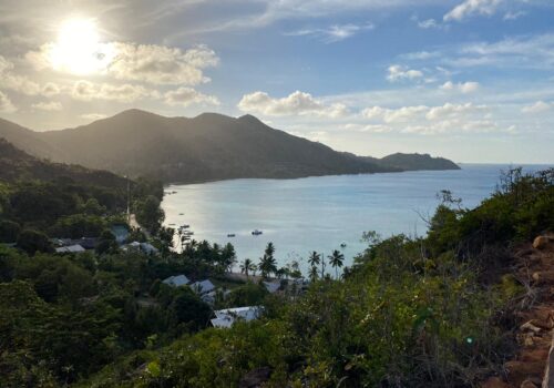 View