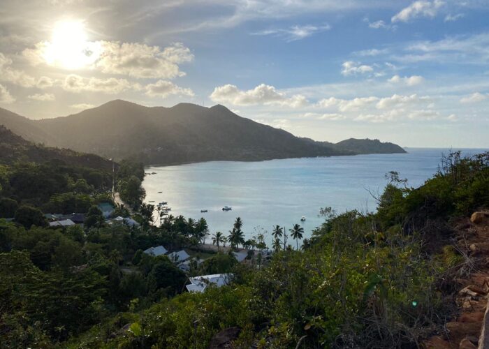 View