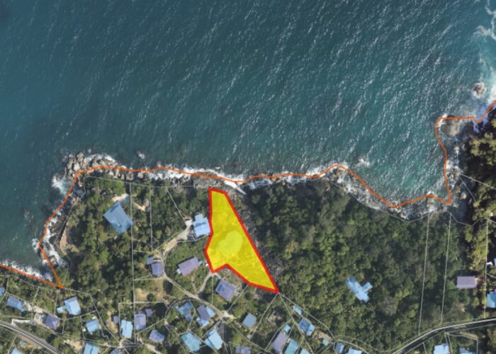 Web Gis Aerial