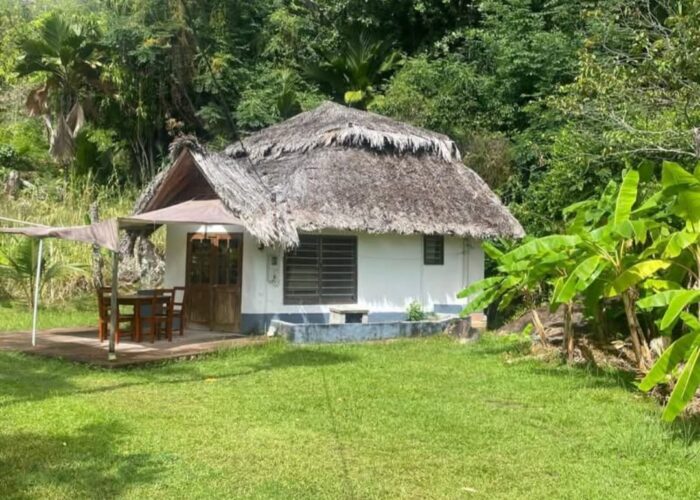 WhatsApp Image 2026-02-05 at 08.44.04