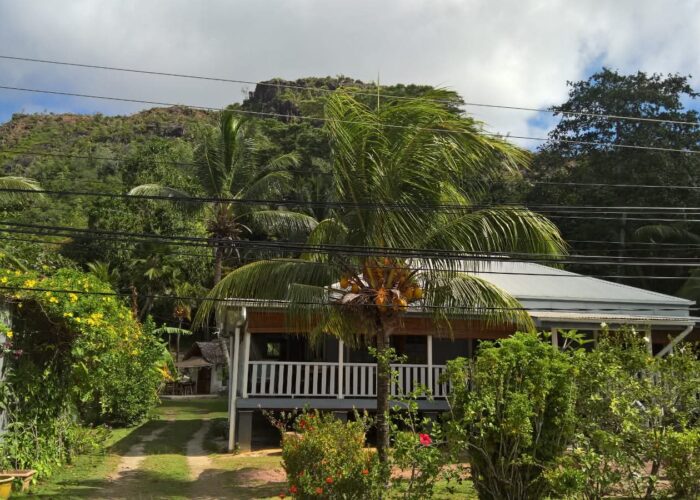 WhatsApp Image 2026-02-05 at 08.45.05