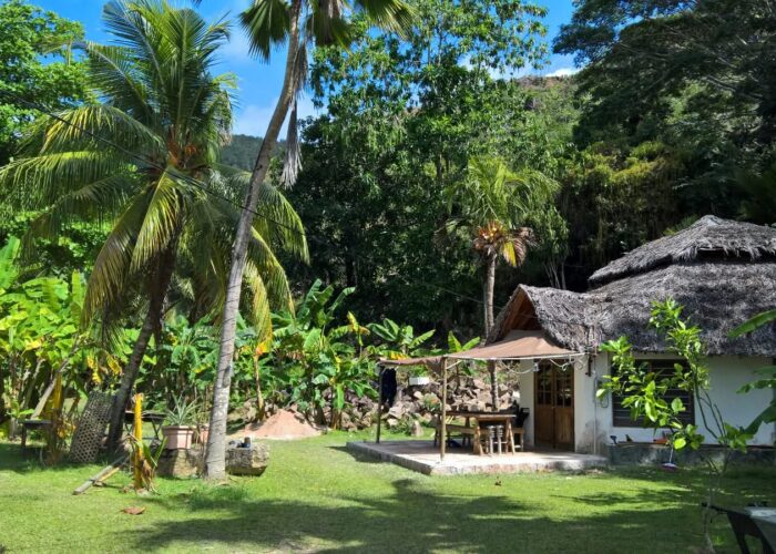 WhatsApp Image 2026-02-05 at 08.45.46