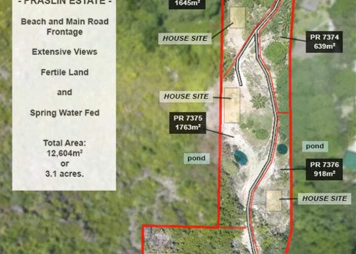 WhatsApp Image 2026-02-05 at 08.47.29