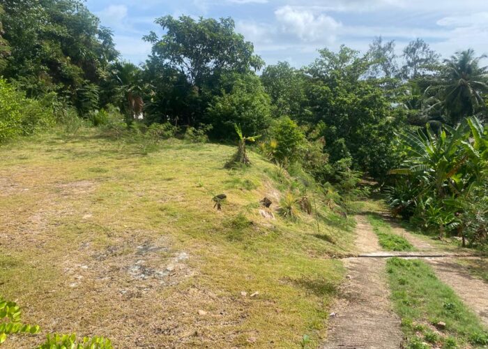 WhatsApp Image 2026-02-05 at 08.54.26