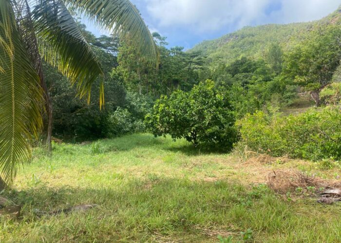 WhatsApp Image 2026-02-05 at 08.55.50