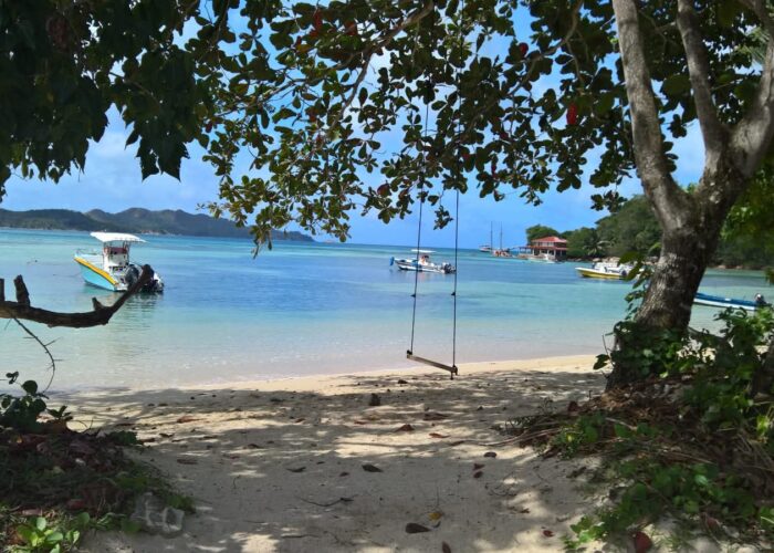 WhatsApp Image 2026-02-05 at 09.08.54