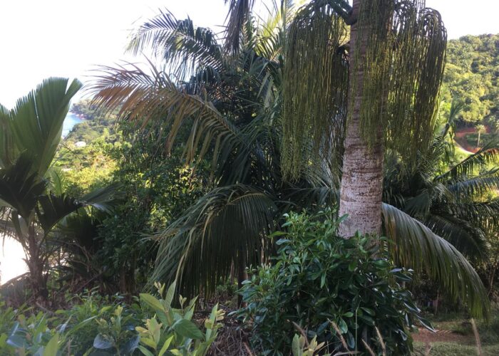 WhatsApp Image 2026-03-18 at 11.31.15 (2)