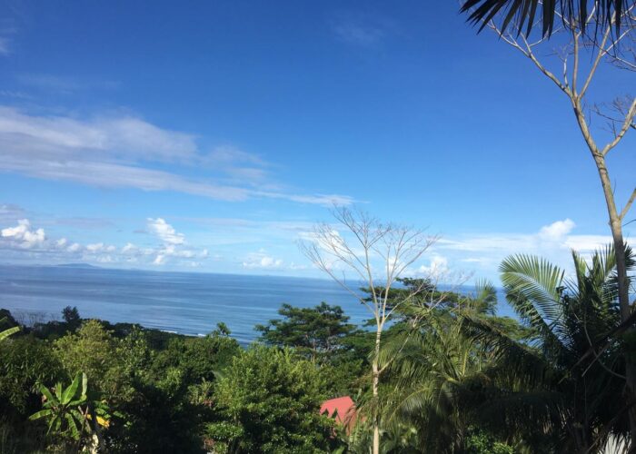 WhatsApp Image 2026-03-18 at 11.31.16