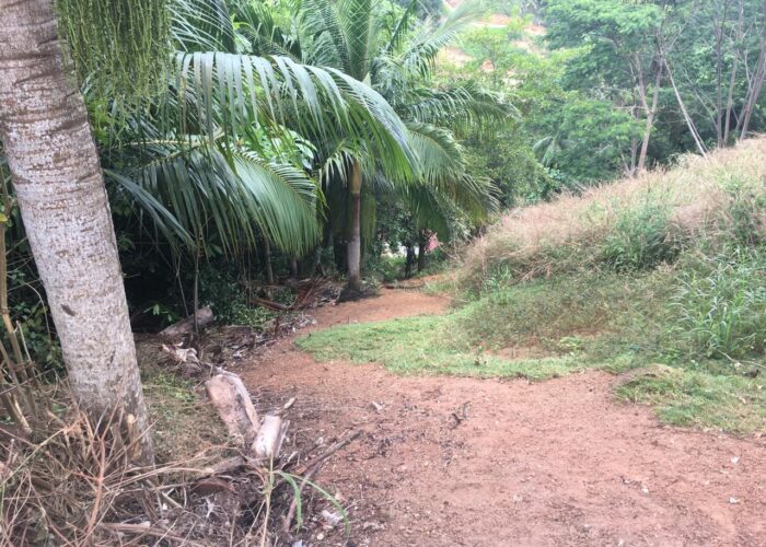 WhatsApp Image 2026-03-18 at 11.32.30