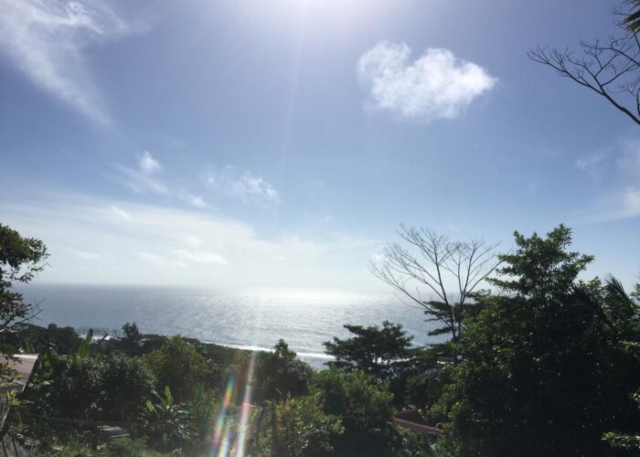 WhatsApp Image 2026-03-18 at 11.32.58