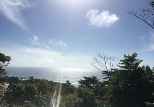 WhatsApp Image 2026-03-18 at 11.32.58