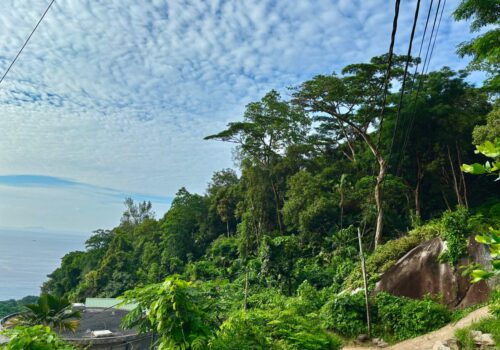 View from road