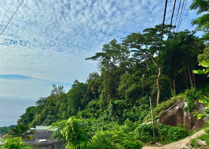 View from road