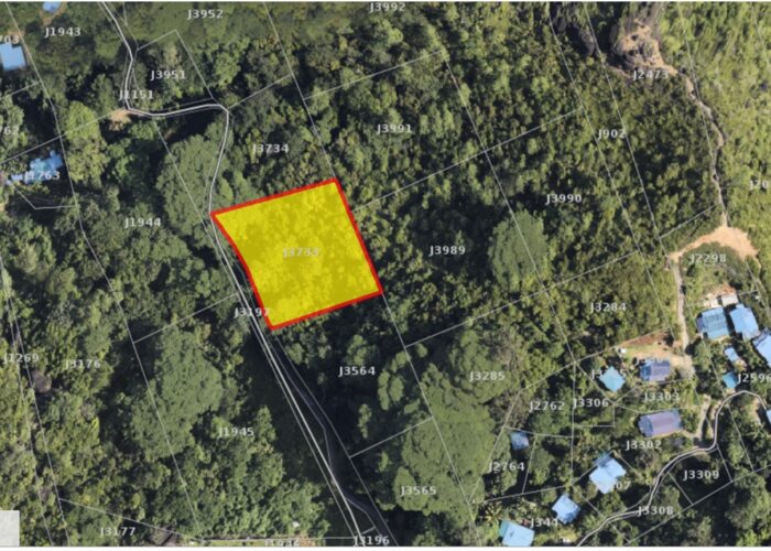 Web gis Aerial
